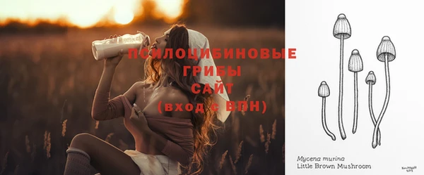 ПСИЛОЦИБИНОВЫЕ ГРИБЫ Абаза