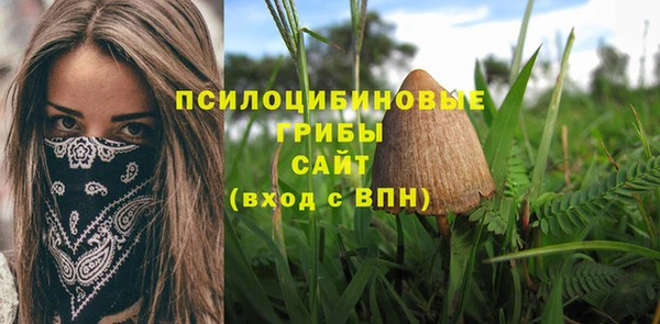 дмт Михайлов